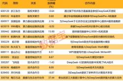 DeepSeek大模型异军突起，中国AI市场进入爆发期