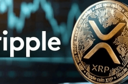 XRP：特朗普胜选后的狂飙突进与未来展望