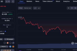 狗狗币(DOGE)的看涨势头：技术分析和市场预测