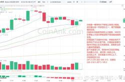 SOL价格分析：蓄势待发，目标300美元